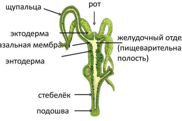 Купить гашиш онлайн