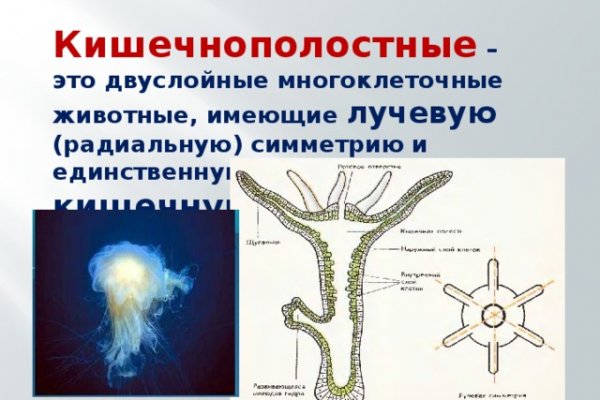 Ссылка на мегу в тор