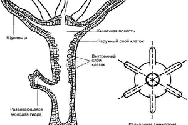 Кракен официальный сайт ссылка kraken6.at kraken7.at kraken8.at