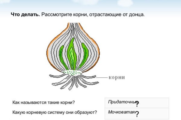 Как правильно пишется сайт омг в торе